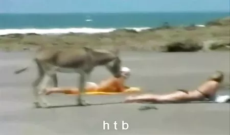 2 Nalewka sex filmiki za darmo na telefon